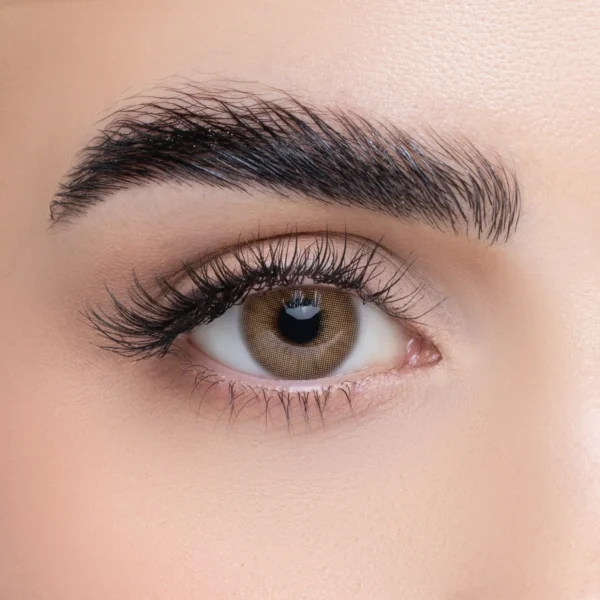 Beauteous Color Contact Lens - Hot Cocoa