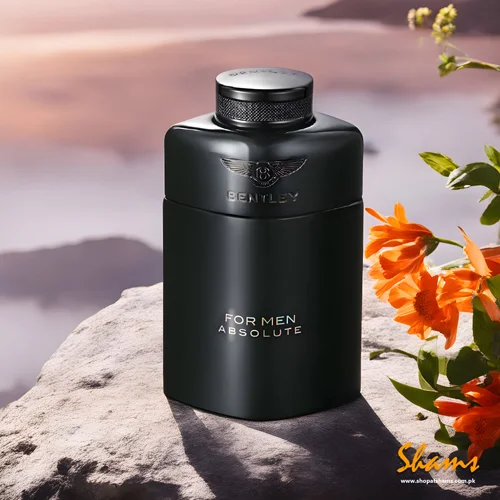 بنتلي عطر أبسولوت للرجال أو دو بارفان 100 مل - الصورة 3