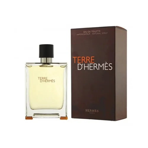 Hermes Terre Eau de Toilette for men 100 ml - Image 2