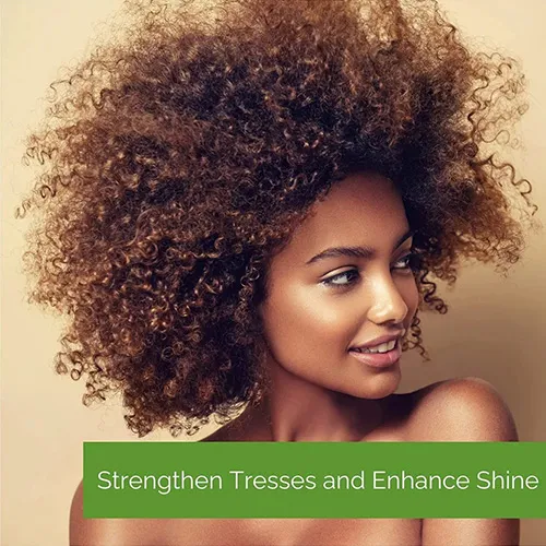 Giovanni Ultra Moisture Conditioner for Dry and Damaged Hair with Avocado and Olive Oil, 250ml - الصورة 3