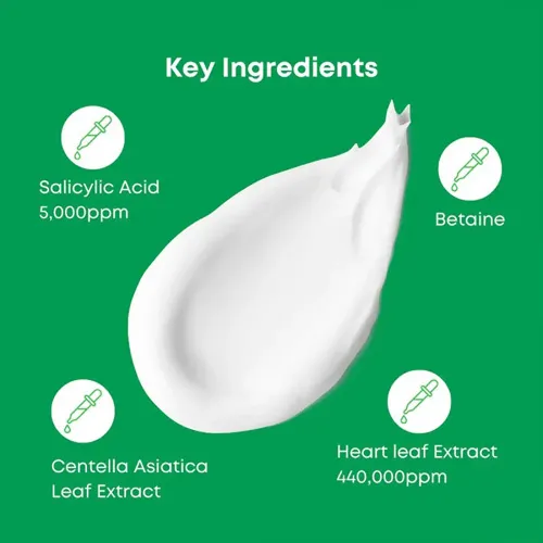 Nineless Heartleaf Acne Cleanser for Blemish-Prone Skin, 120ml - الصورة 2